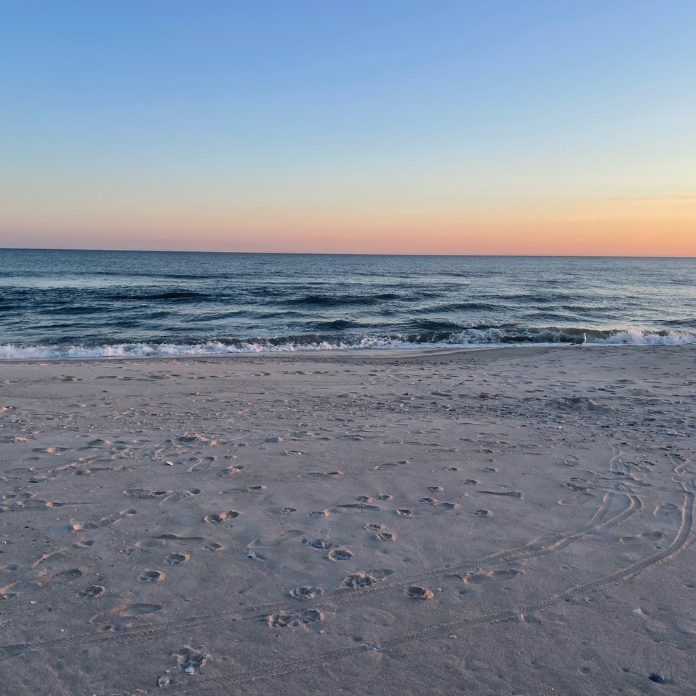 Meet your Posher, Anastasia